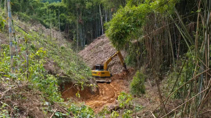 林间“藏龙”，竹海“卧虎”——PG电子平台林业挖机广西侠客行